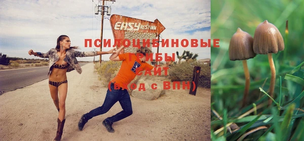 синтетический гашиш Богородицк