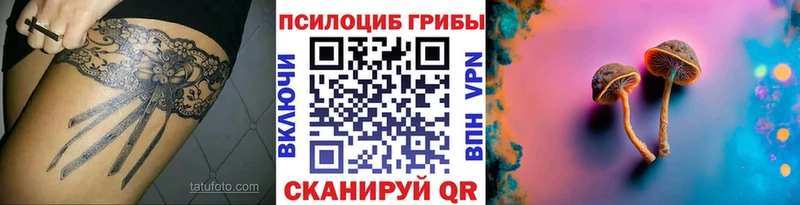 Галлюциногенные грибы Psilocybe  Купить где  Магас 